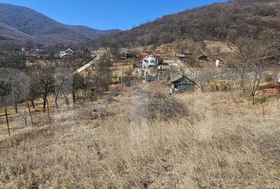 Teren de 1550 mp, în Cetate - 1