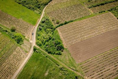 Teren agricol extravilan de 3654 mp, în Șiria - 5