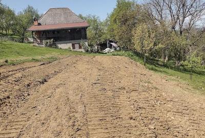 Casă cu Teren 11196 Mp în Central - 4