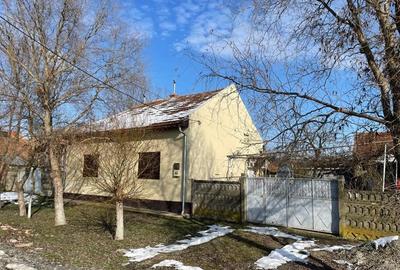 Casă cu 3 camere în Balinț - 5