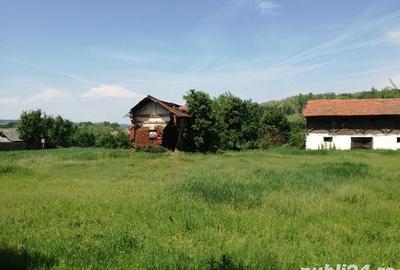 Casa cu teren 11414 mp , Vladimir-Andreesti , Jud.Gorj Pret 60000 - 5