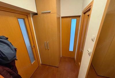 Garsoniera / Calea Calarasilor / metrou Piata Muncii - 4