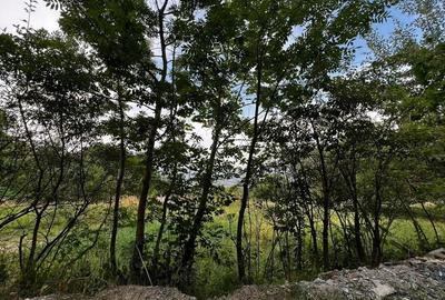 Teren cu panorama asupra Clujului, zona accesibila cu vile- Feleacu - 6