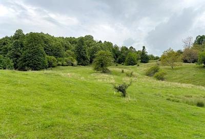 Teren de poveste in inima Brezei, zona Nistoresti - 5