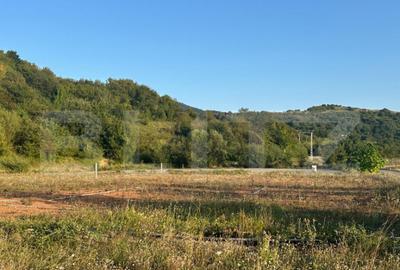 Teren 5.800 mp cu utilita?i ?i construc?ii existenteO Teren 5.800 mp cu utilita?i ?i construc?ii existenteO - 2