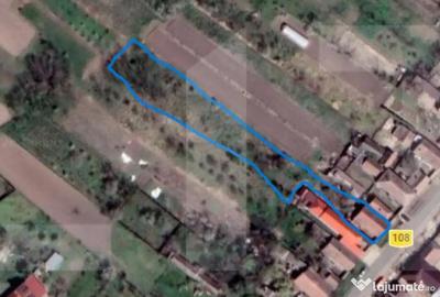 Casă cu 2 camere cu Teren 1756 Mp în Sânpaul - 3