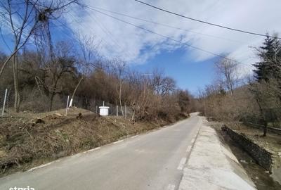 Teren de 5100 mp, în Valea - 6