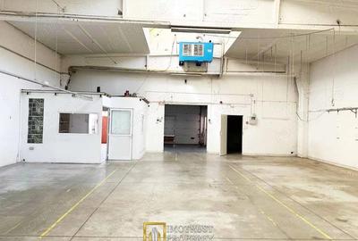Hala industriala 431 mp de inchiriat central Arad, acces TIR - 6