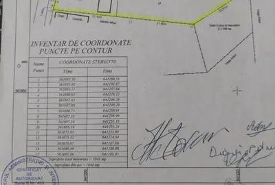 Teren pentru casa in Osebiti, Luizi Calugara - 4