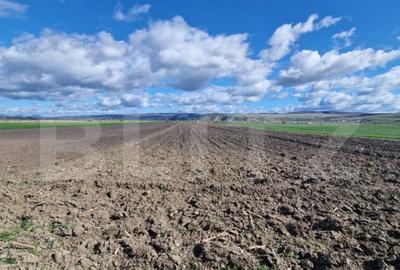 Teren de 15000 mp, în Central