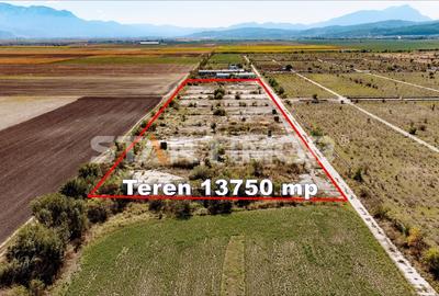 Teren Construcții intravilan de 13750 mp, în Sud-Est - 2