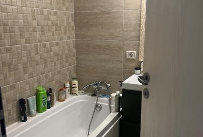 Apartament 3 camere Parter Ozana - 2