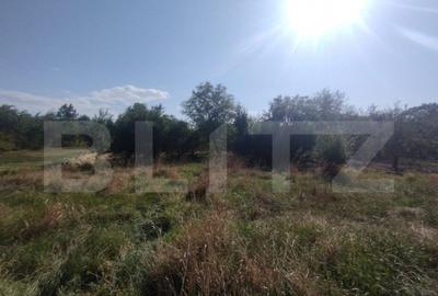 Casa 160mp utili+anexe+teren 67 ari intravilan,10 km distant - 20