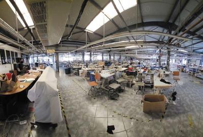 Spațiu comercial, de 30,000 mp, în Vălenii de Munte - 14