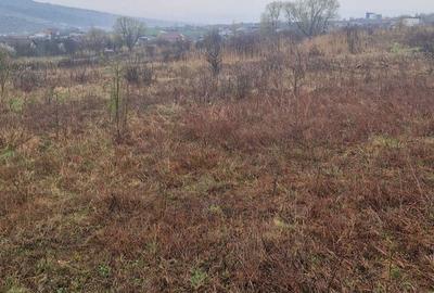 Spațiu comercial, în Chinteni