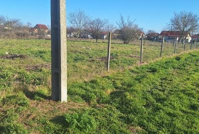 Teren Construcții intravilan de 1683 mp, în Ciocârlia - 1