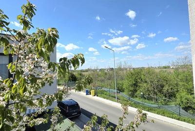 Casă individuală cu 4 camere cu Canalizare în Chitila - 42