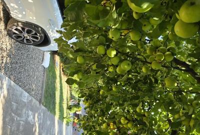 Casă cu 3 camere cu Teren 500 Mp în Siliștea Snagovului - 7