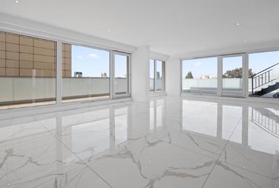 Penthouse de vanzare - 7