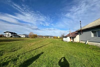 Teren de 20000 mp, în Bozânta Mare - 2