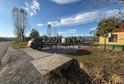 Vanzare complex industrial *hala 682 mp + teren 2,5 ha* - Tetila - 9