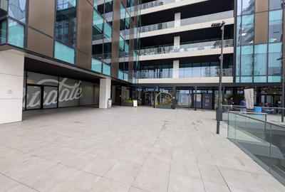 Penthouse cu 4 camere decomandat în Cotroceni - 6