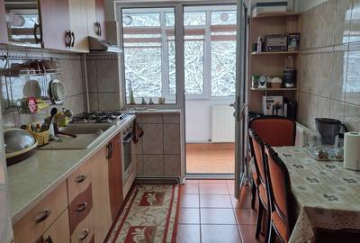 Apartament cu 4 camere decomandat în Banat - 3