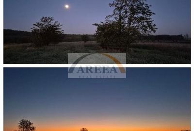 De vanzare - TEREN construcții 700 mp - lizieră - Siliștea Snagovului - 1