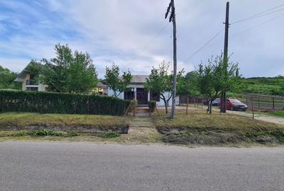 Casă cu 3 camere în Teslui - 2