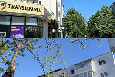 Apartament cu 2 camere semidecomandat în Narcisa - 5