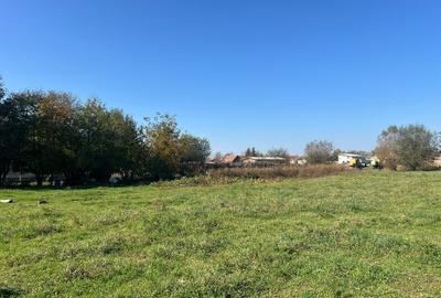 Teren intravilan, 518 mp,, front asfalt, utilitati Teren intravilan, 518 mp,, front asfalt, utilitati - 7