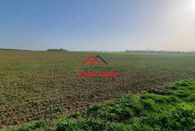 Casă cu Teren 5000 Mp în Urleta - 7