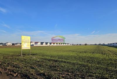 Teren intravilan în Berceni - 5