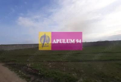 Teren de 369 mp, în 1 Decembrie - 3