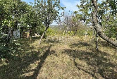 Teren de 1665 mp, în Dealuri Oradea - 7