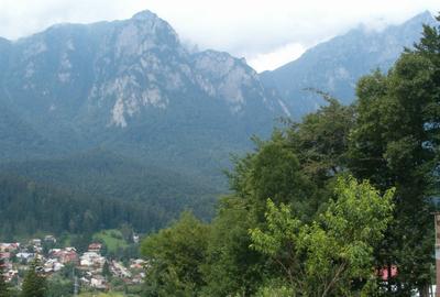 Casă cu 2 camere în Poiana - 8