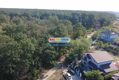 Vila cu garaj Padurea Pantelimon - 4 camere - 6