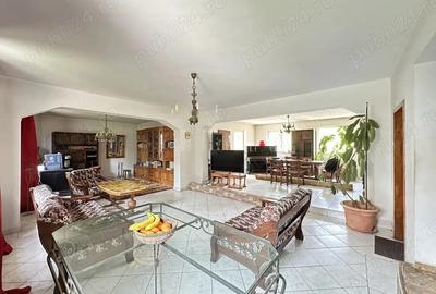 Vila Mogosoaia la padure si DN. - 4