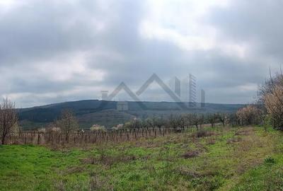 Teren în Dorobanț - 10