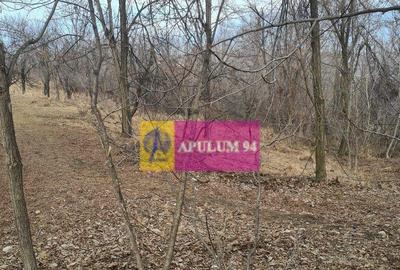 Teren intravilan de vanzare in Cornu de Jos - 2