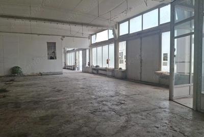 Spațiu comercial, de 500 mp, în Theodor Pallady - 13