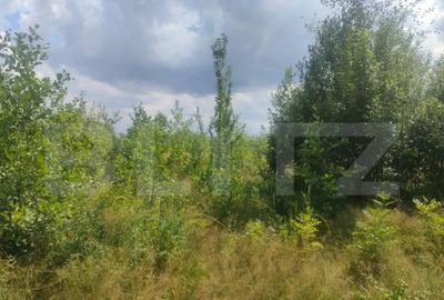 Teren de 5857 mp, în Horodnic - 7