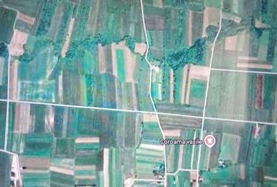 Teren de 3200 mp, în Vicovu de Sus - 2