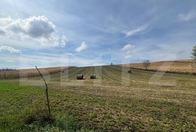 Teren de 7800 mp, în Central