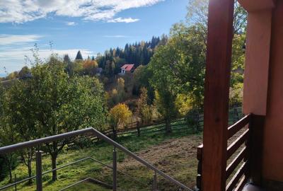 Casă cu 3 camere în Muntele Cacovei - 3