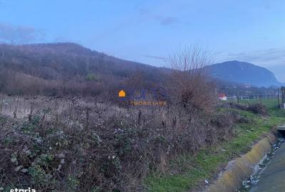 Spațiu comercial, în Mehadia - 2