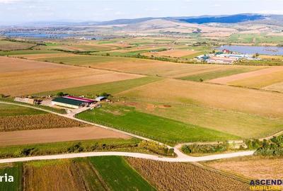 Teren de 18000 mp, în Feldioara - 12