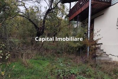 Casa Veche, Central Drajna de Jos 5000 mp - 5