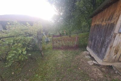 Casă cu 3 camere cu Teren 3410 Mp în Aluniș - 2