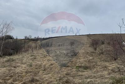 Teren Construcții intravilan de 2307 mp, în Sălicea - 18